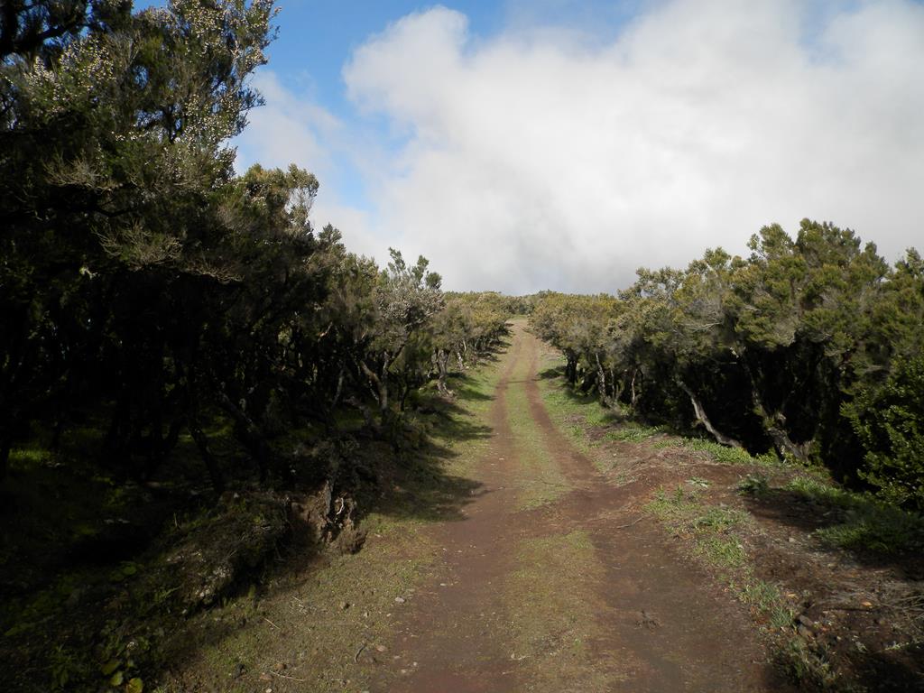 Wanderung von Arure nach  El Cercado, Calera
